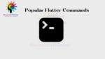 popular flutter commands