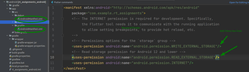 Permission denied in Flutter